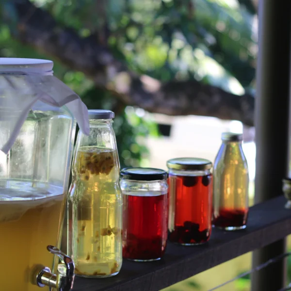 Berry Hibiscus Kombucha Duo — Beverages at Peasley Store