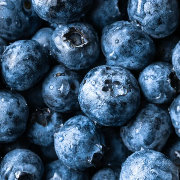 Fresh Blueberries Pint — Fresh Produce at Peasley Store